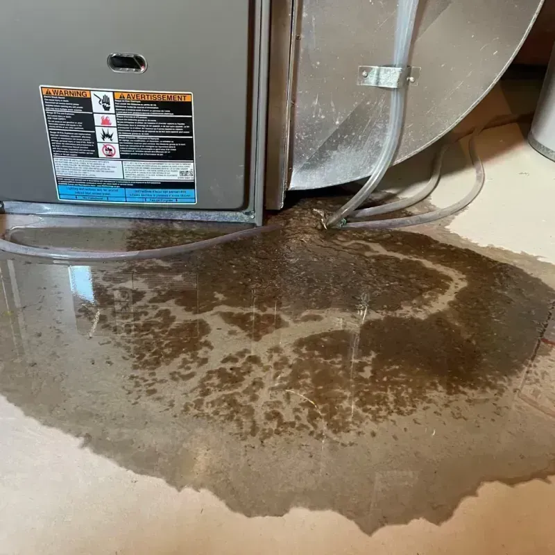 Appliance Leak Cleanup in Shelby County, IL